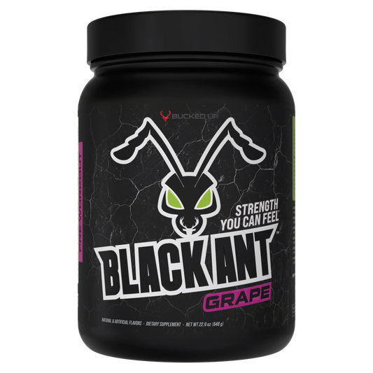 Bucked Up Black Ant