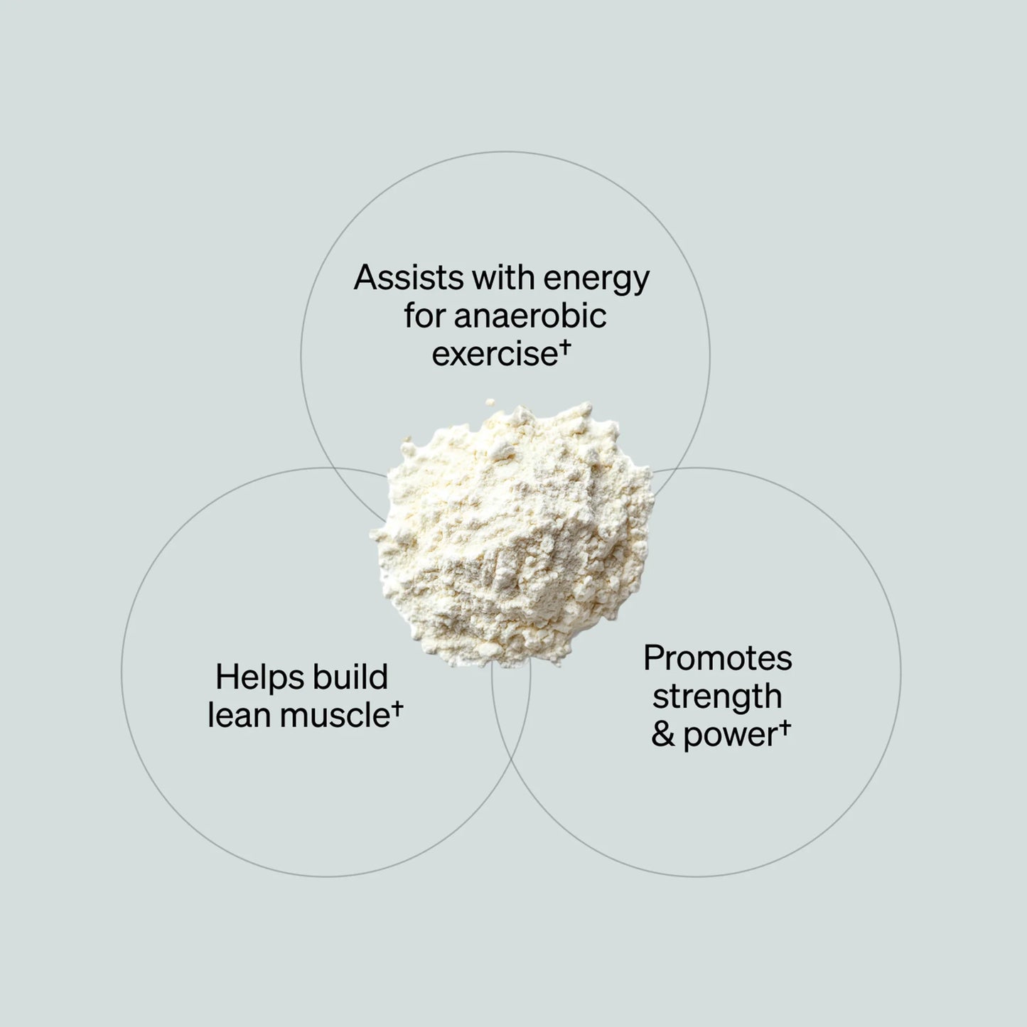Onnit Creatine Monohydrate (30serv.)