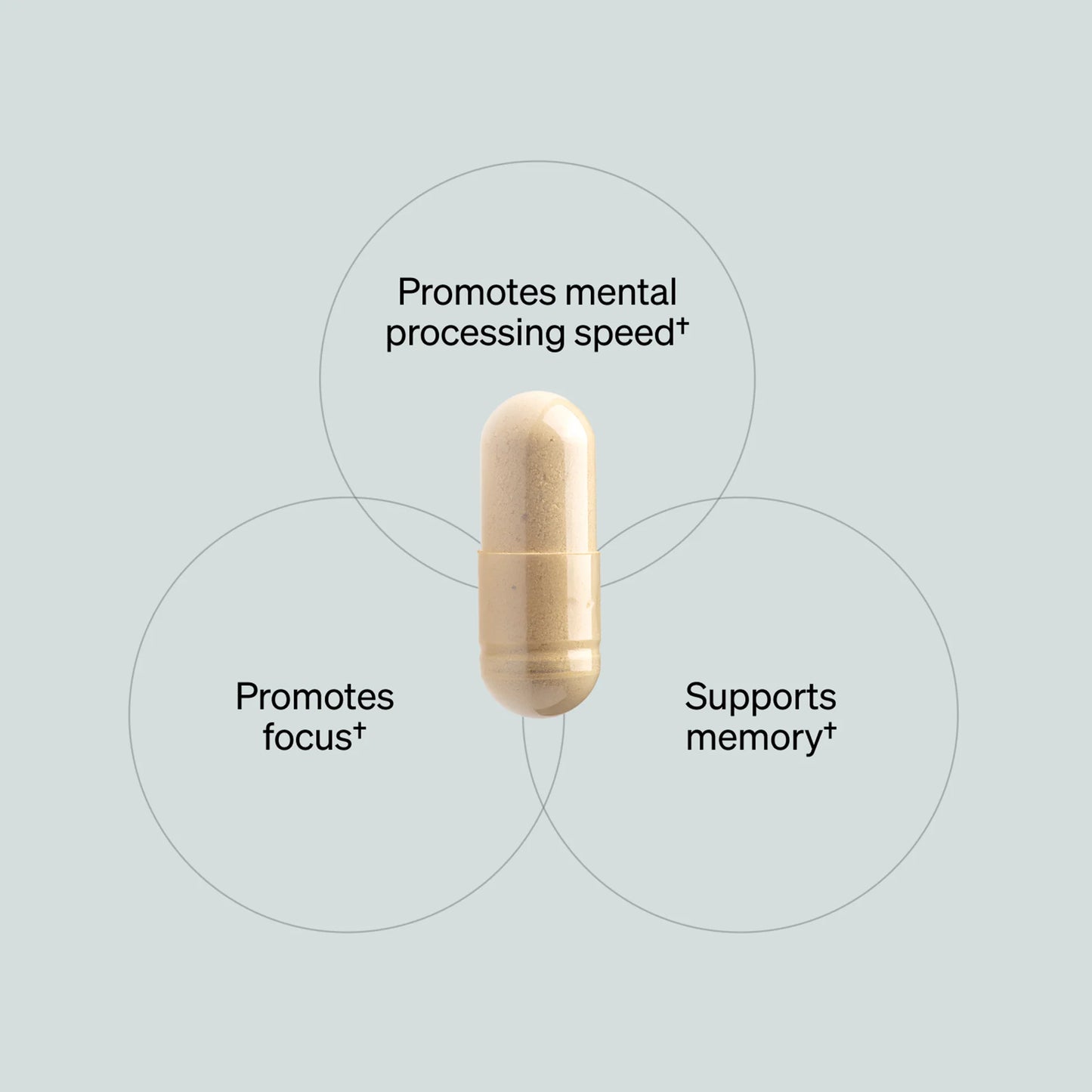 Onnit Alpha Brain