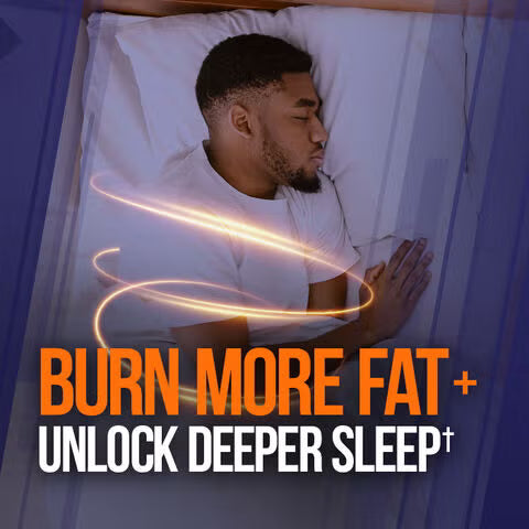 Alpha Lion Night Burn