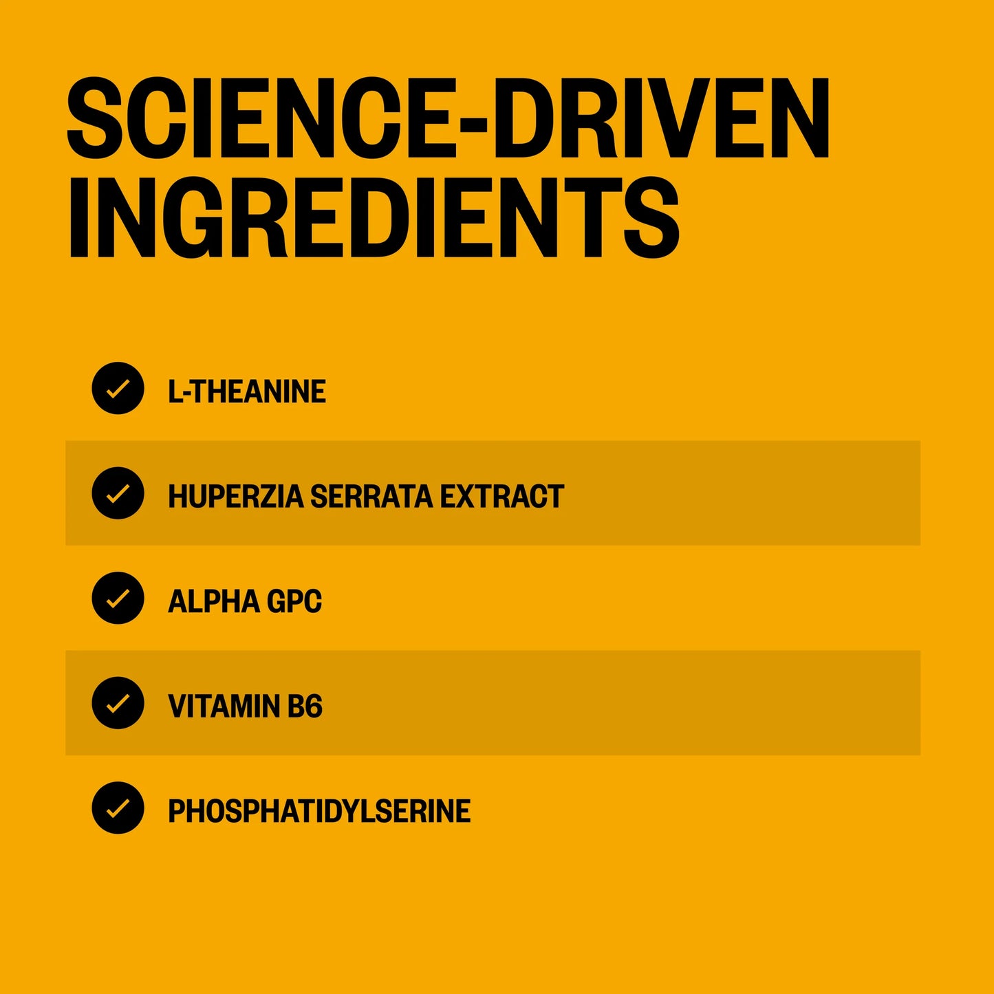 Onnit Alpha Brain